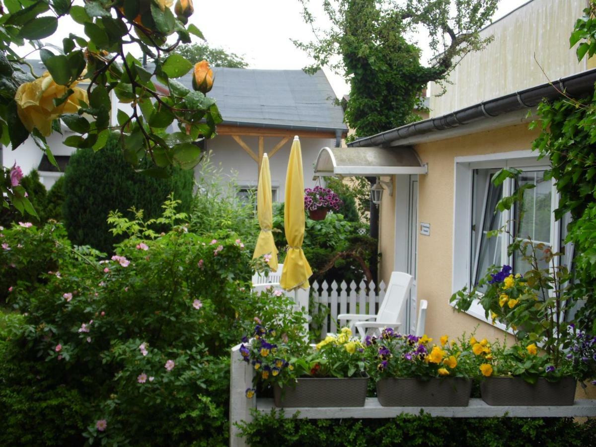 Haus Sandra Heringsdorf  Buitenkant foto