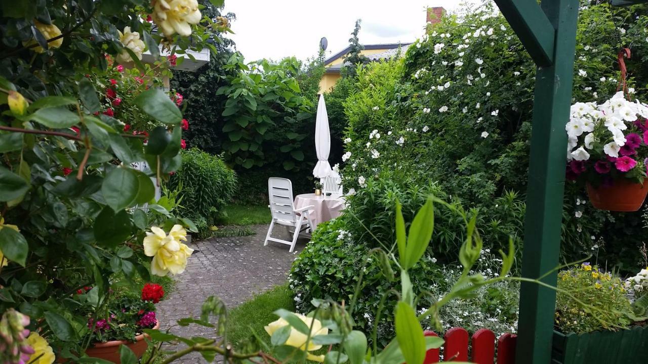 Haus Sandra Heringsdorf  Buitenkant foto
